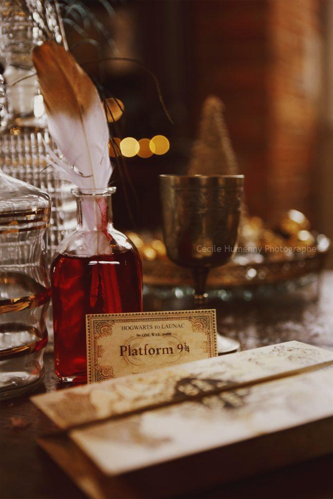 Inspiration : Mariage d'hiver à Poudlard 23 Cécile HUMENNY Photographe