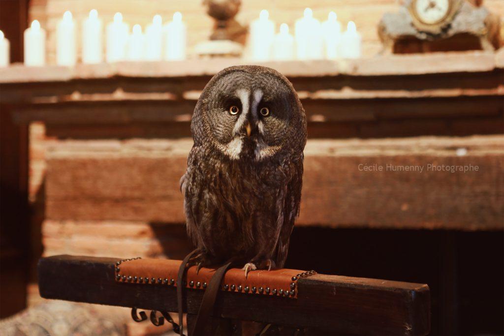 Inspiration : Mariage d'hiver à Poudlard 43 Cécile HUMENNY Photographe