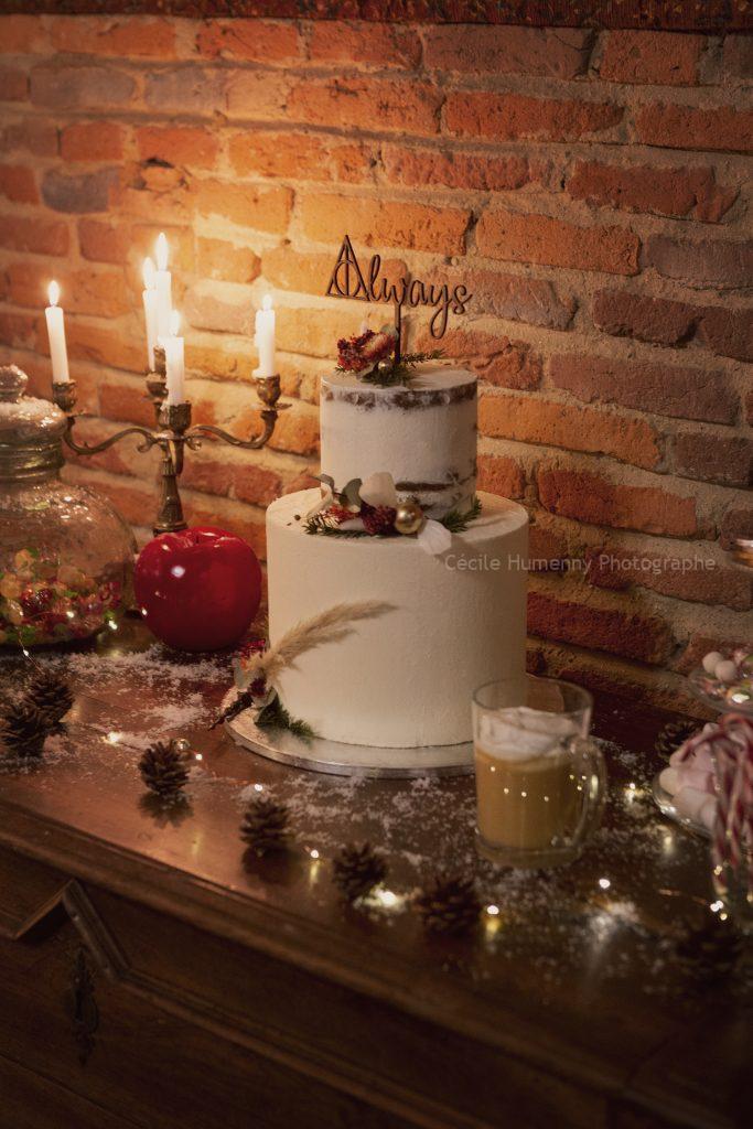 Inspiration : Mariage d'hiver à Poudlard 61 Cécile HUMENNY Photographe
